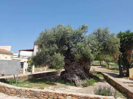 Villa Margarita'S Farm, Private Pool Maláthiros Buitenkant foto